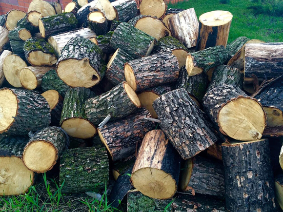 drova-pilennyie-smeshannyie