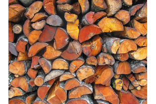 Дрова ольховые колотые 6 куб.м.