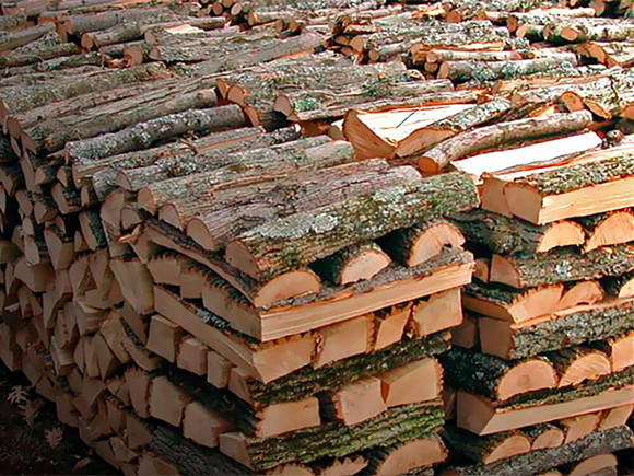 drova-olxovyie-6-kub-m-1