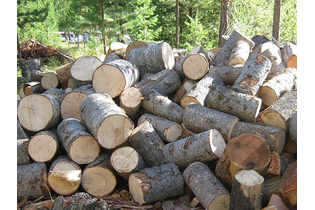 Дрова осиновые пиленные в чурках