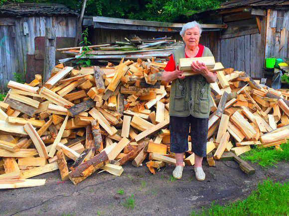 drova-xvojnyix-porod-dereva-kolotyie-4