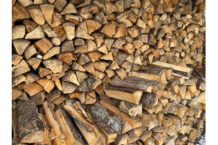 drova-xvojnyix-porod-dereva-kolotyie-3