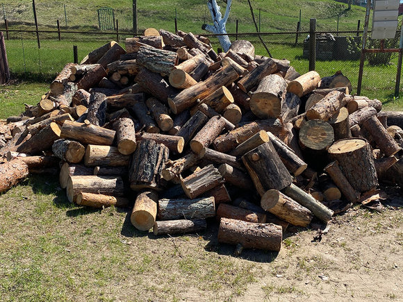 drova-xvojnyix-porod-dereva-pilennyie-2