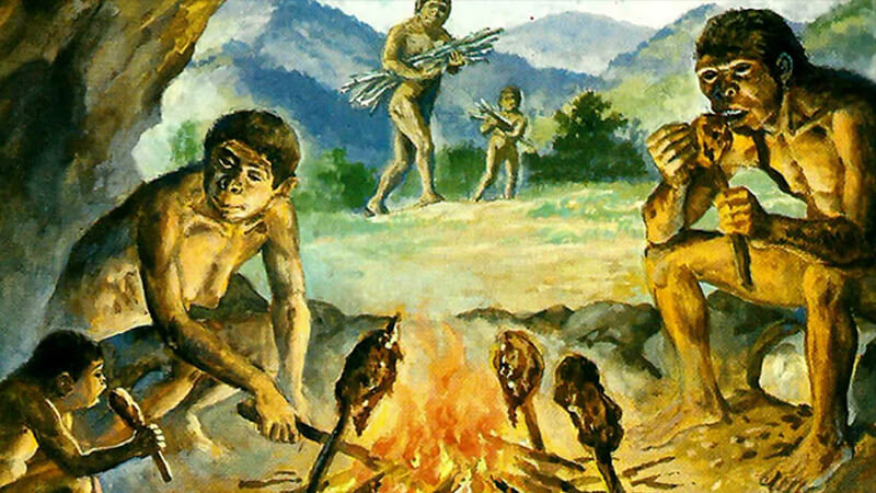 Дрова 1000000 лет назад